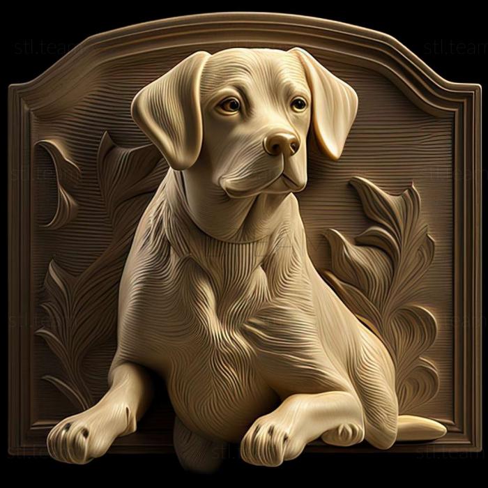 3D model Broholmer dog (STL)